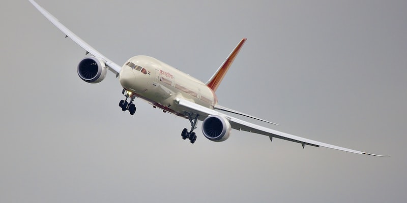 Does air India serve food to all flights?